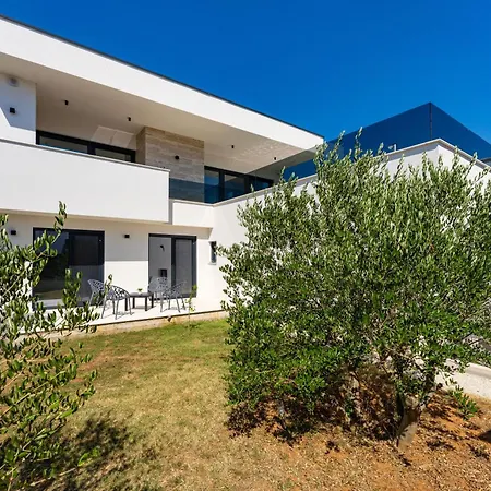 Villa Ap With Pool Zadar Nin