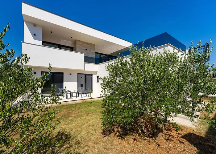 Villa Ap With Pool Zadar Nin